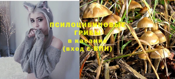 соль курить ск Аркадак