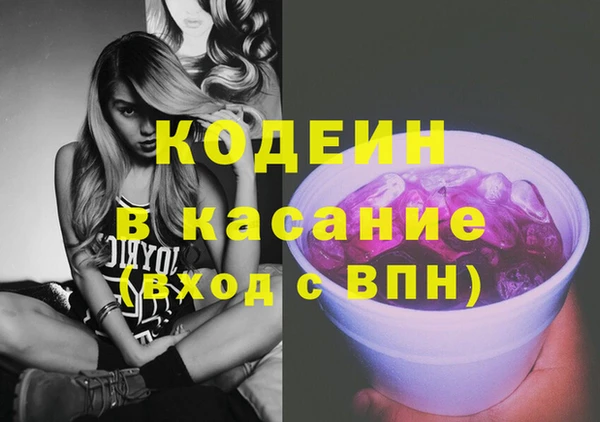 ECSTASY Алзамай